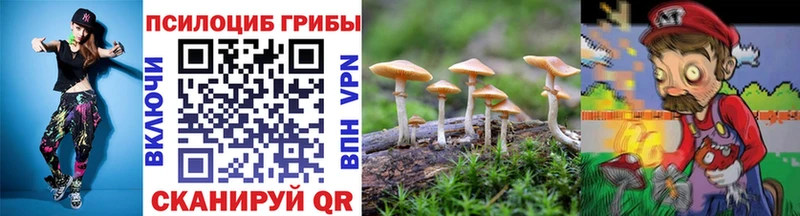 Купить где  Печоры  Псилоцибиновые грибы Psilocybine cubensis 